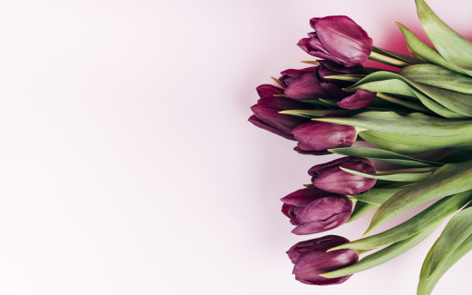 1472594 (a): :2880x1800